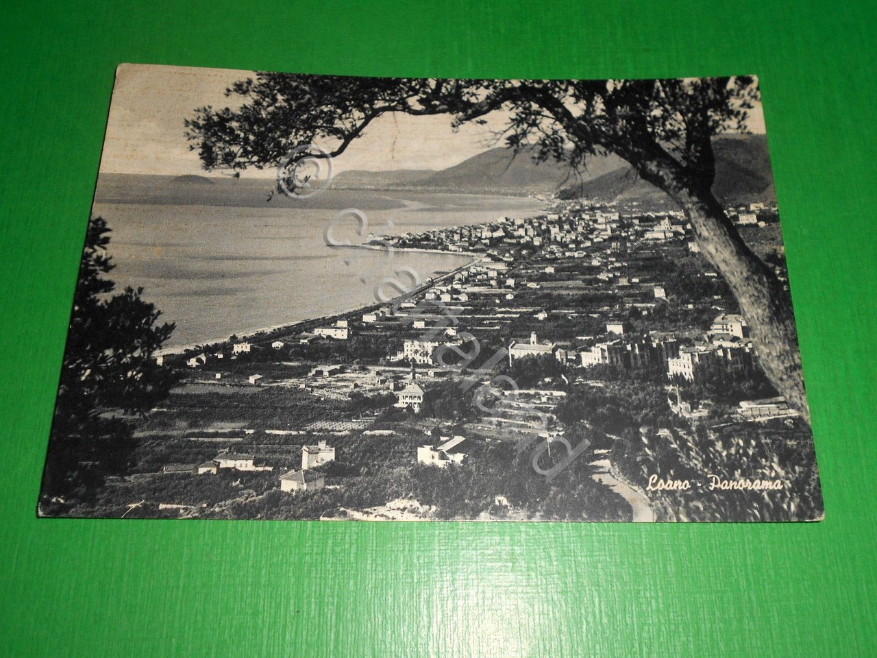 Cartolina Loano - Panorama - 1959.