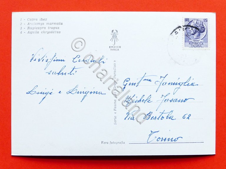 Cartolina Locana - Ponte sull'Orco - 1960 ca..