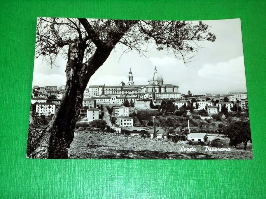 Cartolina Loreto - Panorama 1967.
