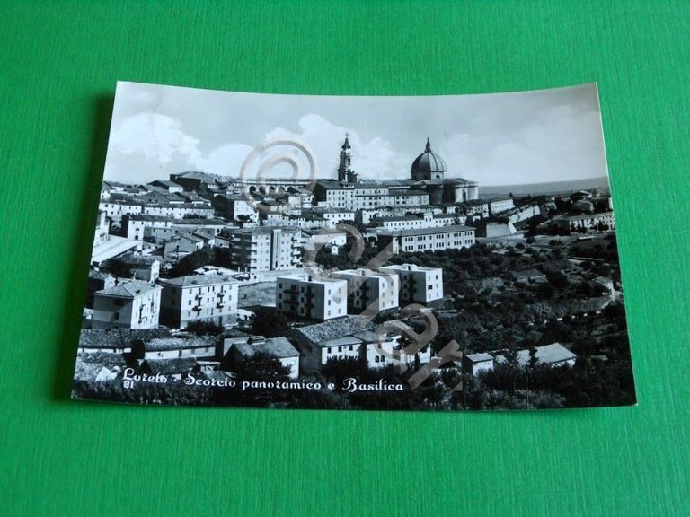 Cartolina Loreto - Scorcio panoramico e Basilica 1956