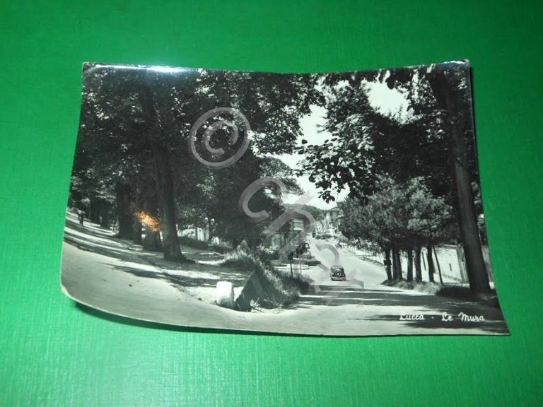 Cartolina Lucca - Le Mura 1959