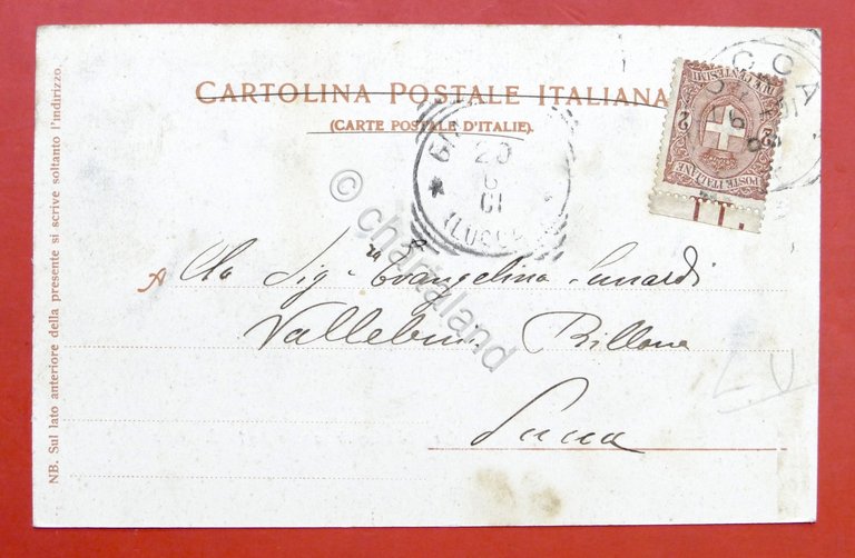 Cartolina Lucca - Mura della città con la Porta di …