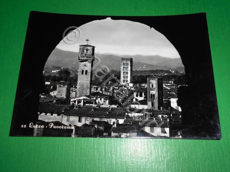 Cartolina Lucca - Panorama 1960 ca.