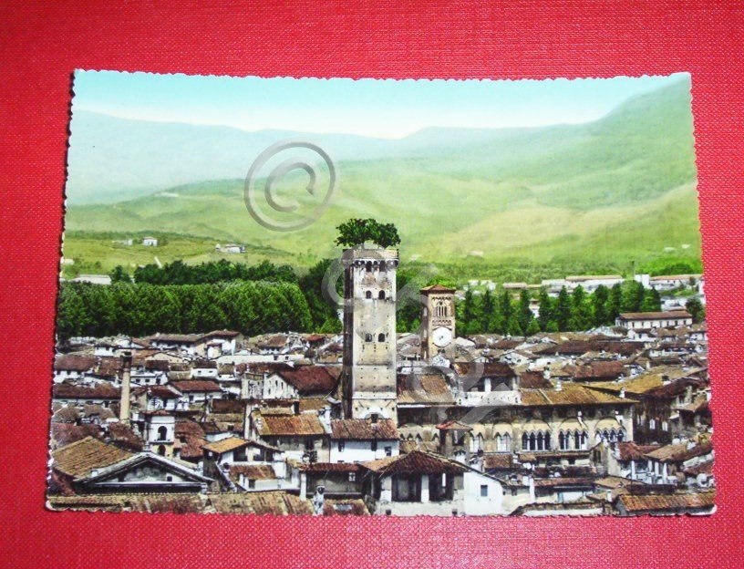 Cartolina Lucca - Panorama con la Torre Guinigi 1956