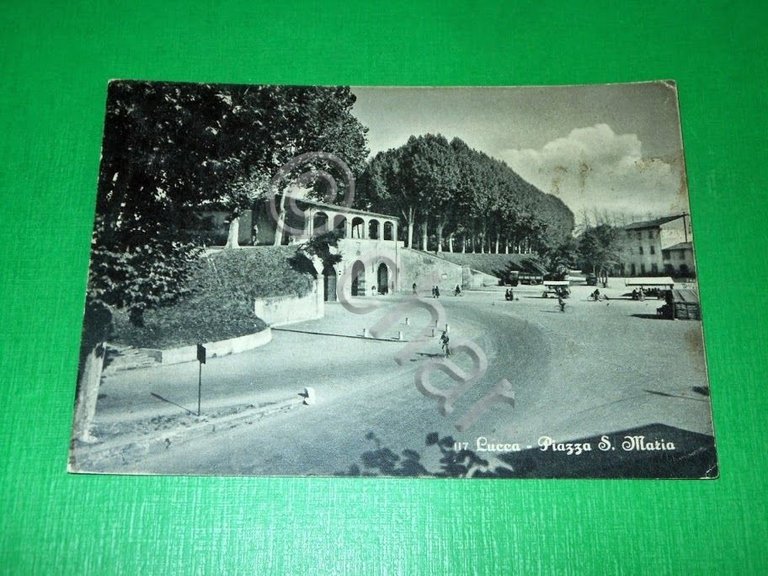 Cartolina Lucca - Piazza S. Maria 1955 ca | Immagine Gallery 2