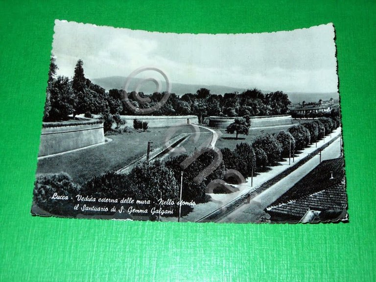 Cartolina Lucca - Veduta esterna delle mura - Nello sfondo …