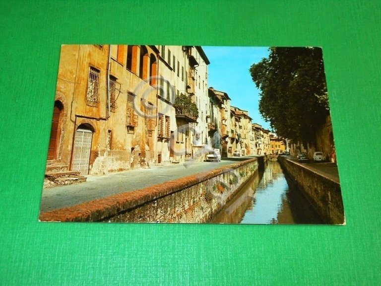 Cartolina Lucca - Via dei Fossi 1981