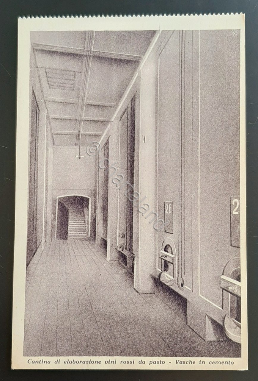 Cartolina Luigi Calissano e Figli - Alba - Vasche in …