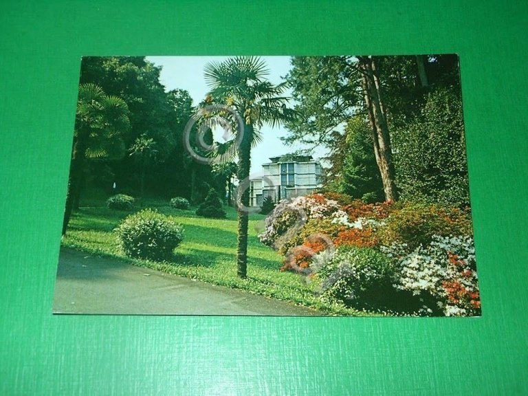 Cartolina Luino ( Varese ) - Fonteviva 1987.