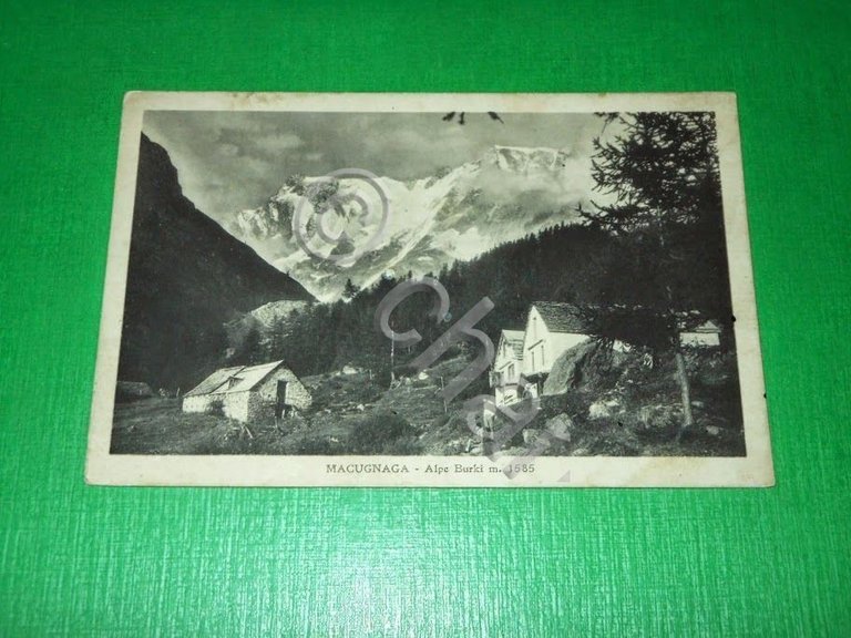 Cartolina Macugnaga - Alpe Burki 1930 ca.