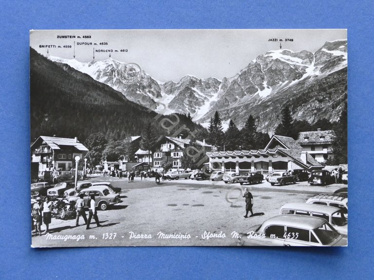 Cartolina Macugnaga - Piazza Municipio - Sfondo Monte Rosa - …