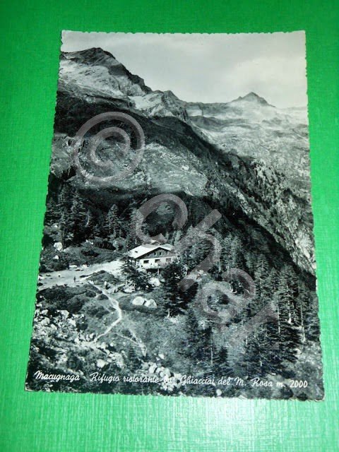 Cartolina Macugnaga - Rifugio Ristorante Ghiacciai del M. Rosa 1955.