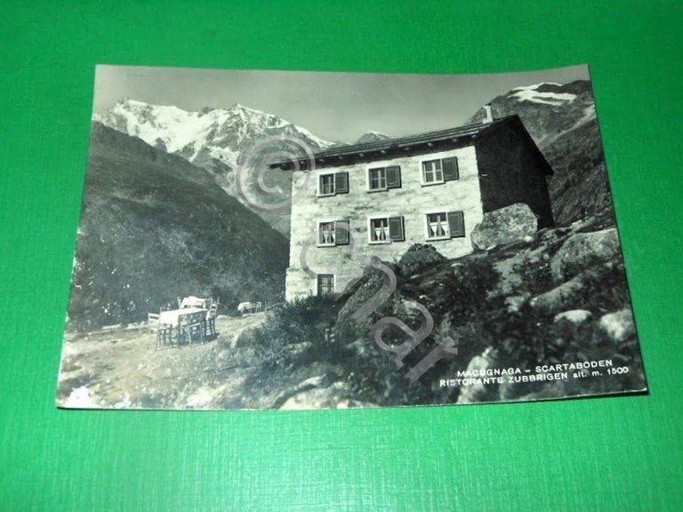 Cartolina Macugnaga - Scartaboden - Ristorante Zubbrigen 1952