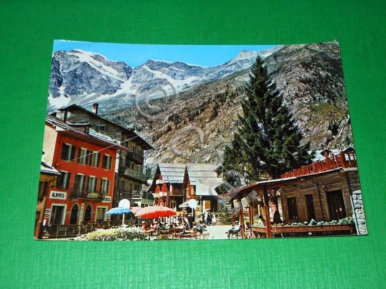 Cartolina Macugnaga - Scorcio panoramico 1965