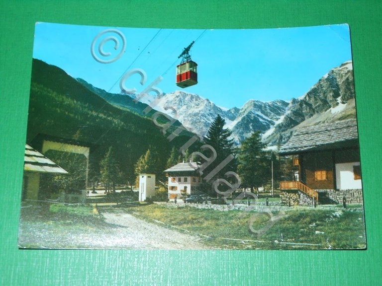 Cartolina Macugnaga - Scorcio panoramico e M. Rosa 1969