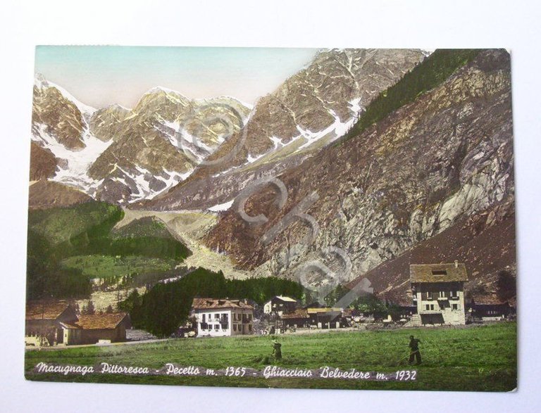Cartolina Macugnaga pittoresca - Pecetto - Veduta 1952