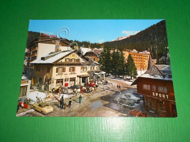 Cartolina Madonna di Campiglio - Dolomiti di Brenta 1955 ca | Immagine Gallery 2