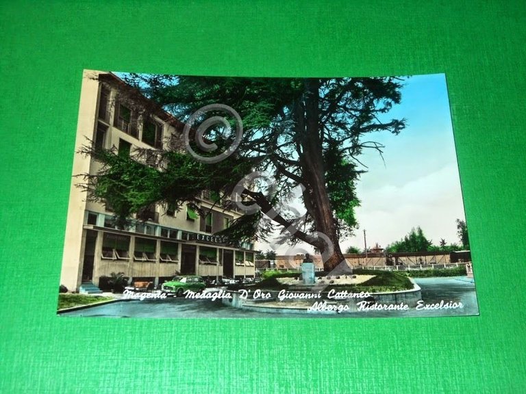 Cartolina Magenta - Medaglia d'Oro Giovanni Cattaneo - Albergo Excelsior …