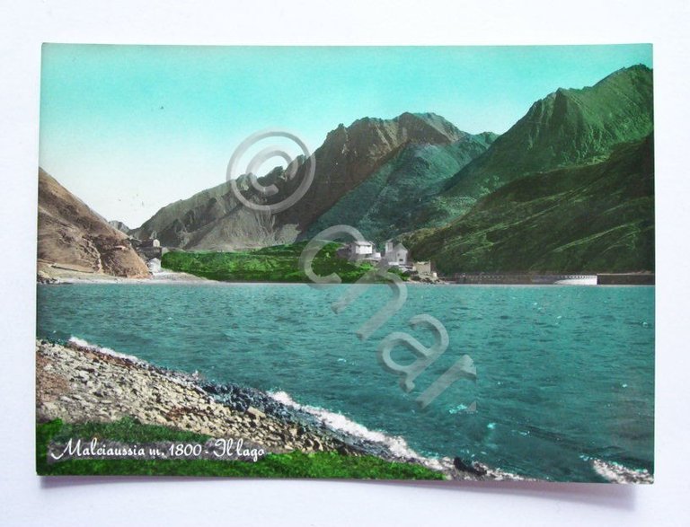 Cartolina Malciaussia ( Torino ) - Il lago 1962