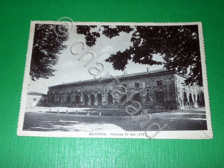 Cartolina Mantova - Palazzo Te 1952 | Immagine Gallery 2
