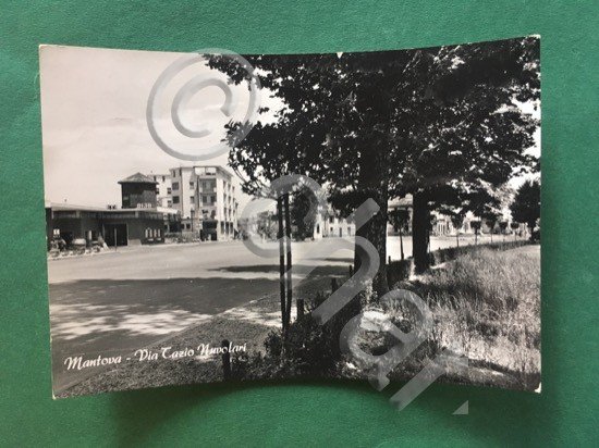 Cartolina Mantova - Via Tazio Nuvolari - 1958