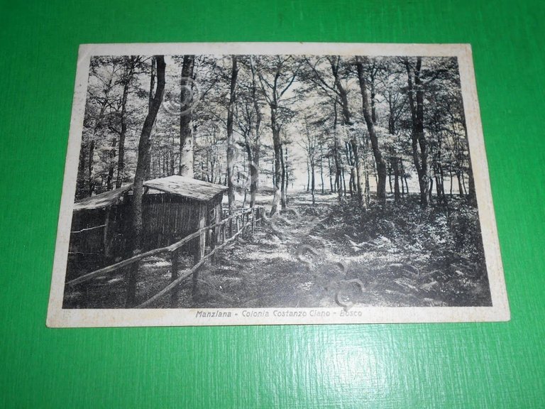 Cartolina Manziana - Colonia Costanzo Ciano - Bosco 1942.
