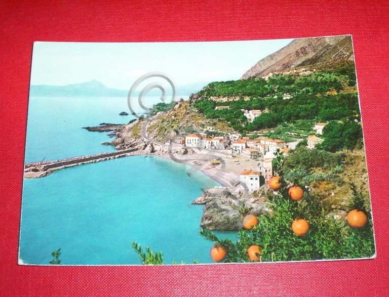 Cartolina Maratea ( Potenza ) - Porto Lido 1964.