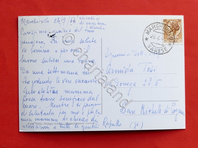 Cartolina Marchirolo - Scorcio panoramico - 1966.