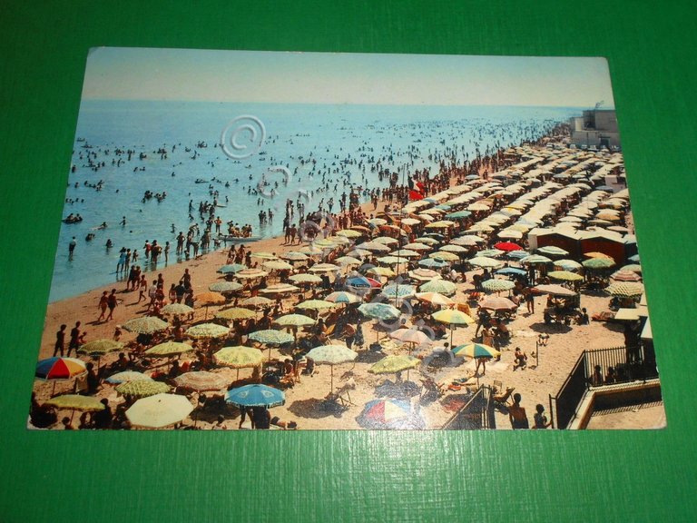 Cartolina Margherita di Savoia ( Foggia ) - Spiaggia 1978.