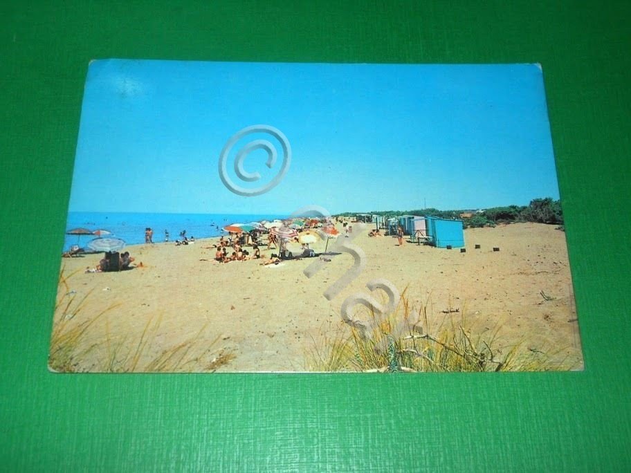 Cartolina Marina di Alberese ( Grosseto ) - La spiaggia …