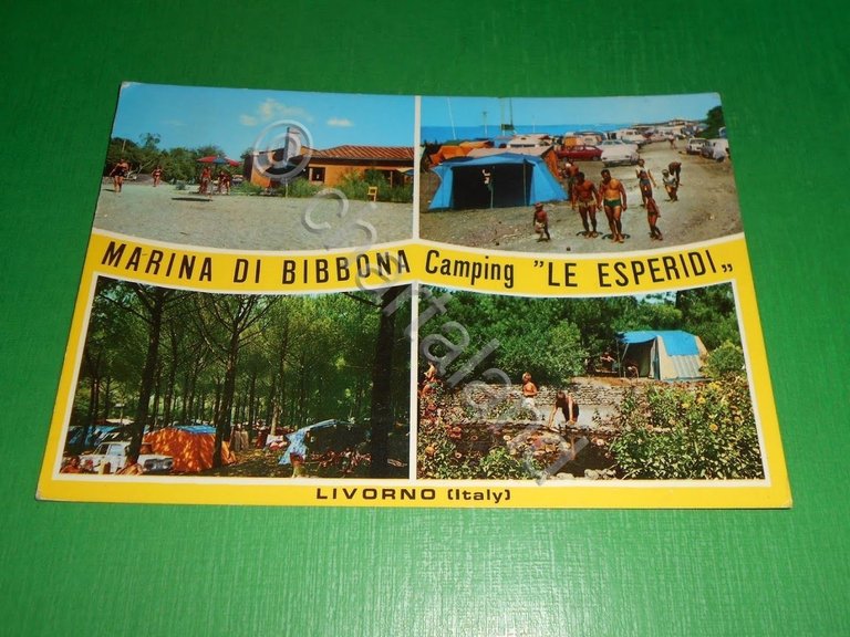 Cartolina Marina di Bibbona - Camping "Le Esperidi" 1973