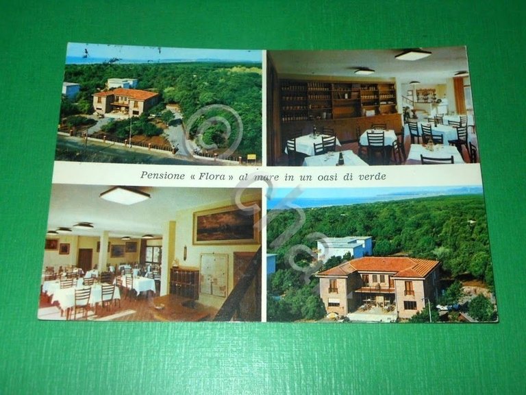 Cartolina Marina di Bibbona ( Livorno ) - Pensione Ristorante … | Immagine Gallery 2