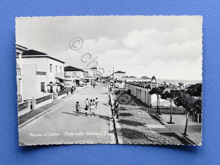 Cartolina Marina di Cecina - Viale della Vittoria e Bagni …
