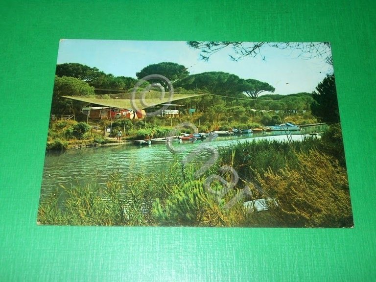 Cartolina Marina di Grosseto - Campeggio il Sole 1970 ca.