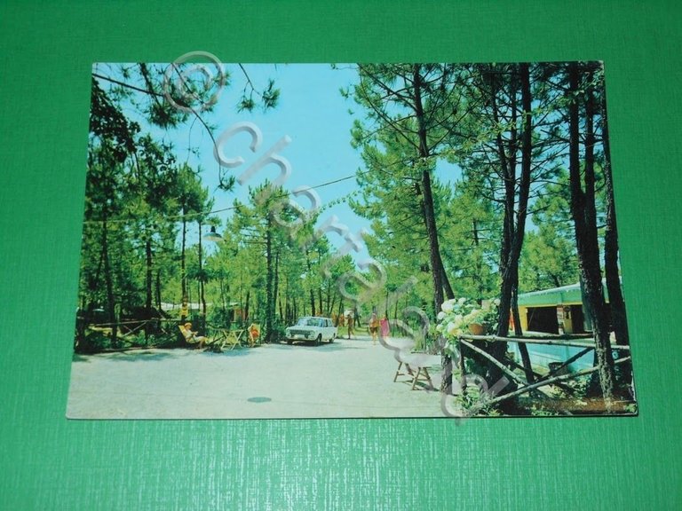 Cartolina Marina di Grosseto - Camping Le Pignacce 1969