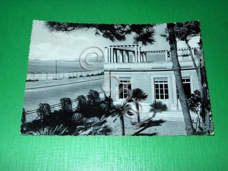 Cartolina Marina di Massa - Colonia Ettore Motta - Gruppo …