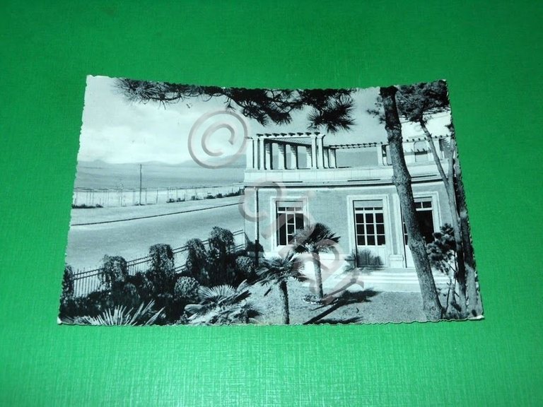 Cartolina Marina di Massa - Colonia Ettore Motta - Gruppo …