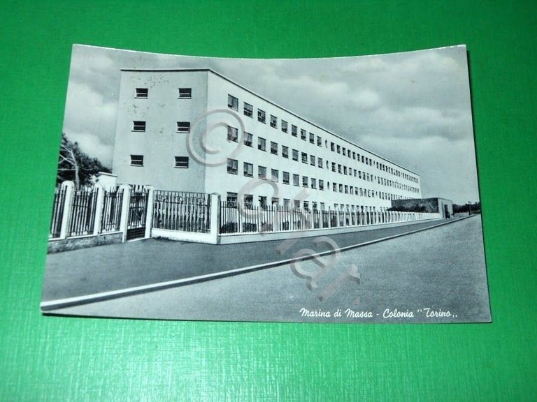 Cartolina Marina di Massa - Colonia Torino 1960