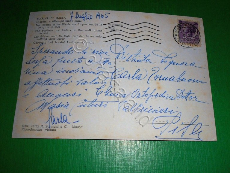 Cartolina Marina di Massa - Giardini e Alberghi lungo mare …