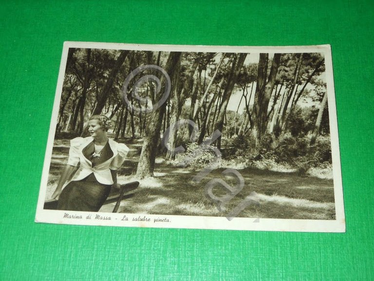 Cartolina Marina di Massa - La salubre pineta 1941