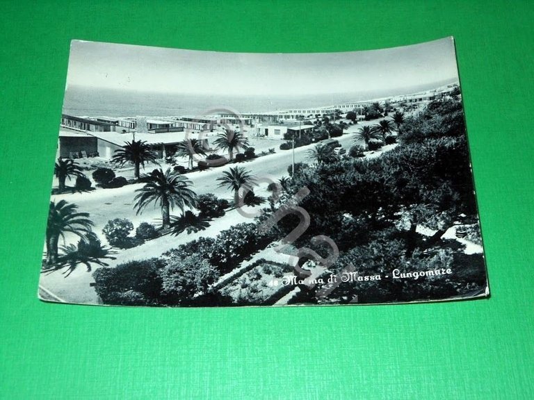Cartolina Marina di Massa - Lungomare 1957