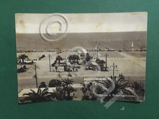 Cartolina Marina di Massa - Panorama - 1919