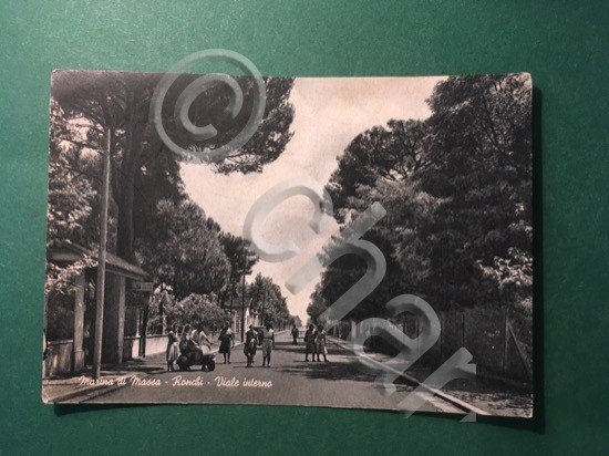 Cartolina Marina Di Massa - Ronchi - Viale Interno - …