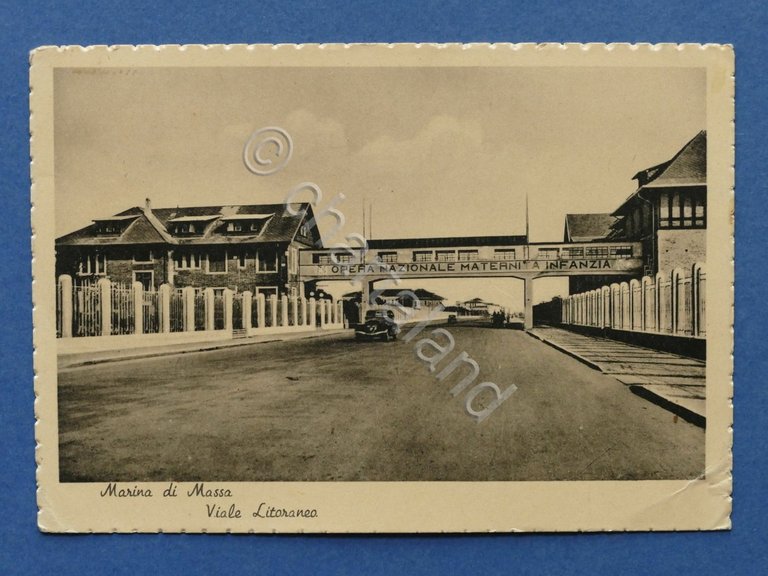 Cartolina Marina di Massa - Viale Litoraneo - 1958.