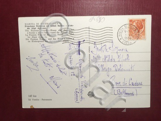 Cartolina Marina di Piatrasanta - Pensione Nettuno ed Hotel Suisse …