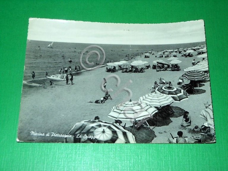 Cartolina Marina di Pietrasanta - La spiaggia 1952