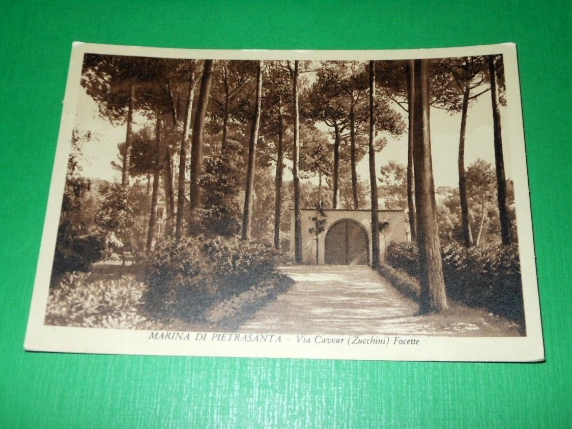 Cartolina Marina di Pietrasanta - Via Cavour ( Zucchini ) …