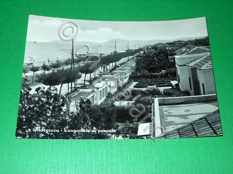 Cartolina Marzocca ( Ancona ) - Lungomare di ponente 1957