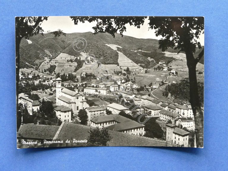 Cartolina Masone - Panorama da Ponente - 1960 ca.