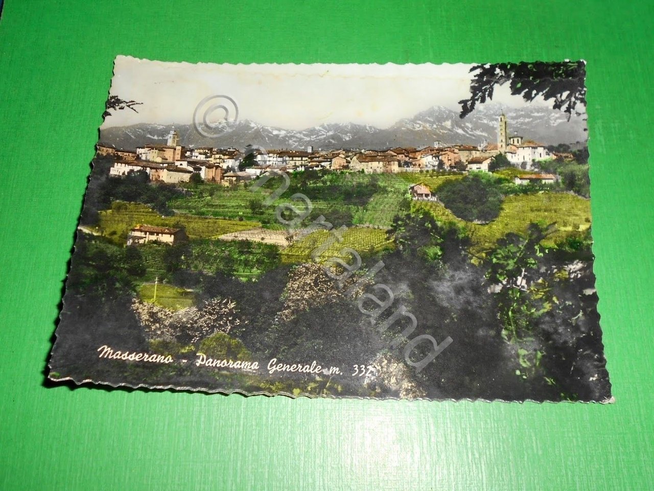 Cartolina Masserano - Panorama generale 1956.